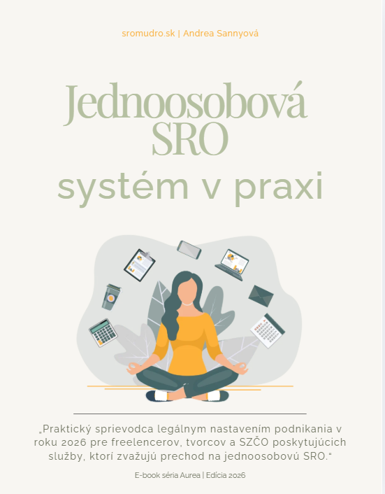 Systém v praxi - jednoosobová sro ako nástroj - systém v praxi